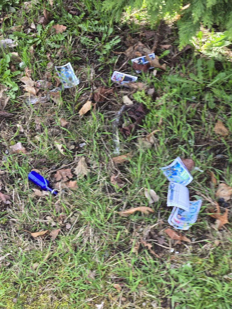 I took this one before this project occurred to me, just to gab at a friend about how interestingly odd it was that I'm always finding cards like this. A blurry photograph of warped cards scattered among grass and dead leaves.