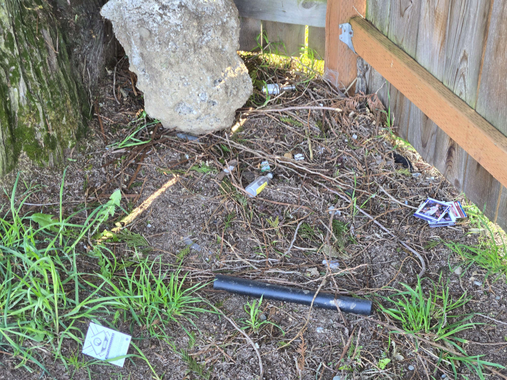 This is one of the most common spots I find the cards. Funny story: a car accident occurred about 10' from where I saw these, moments before I saw them Cards scattered between a fence and a tree trunk, with a black pipe between them.