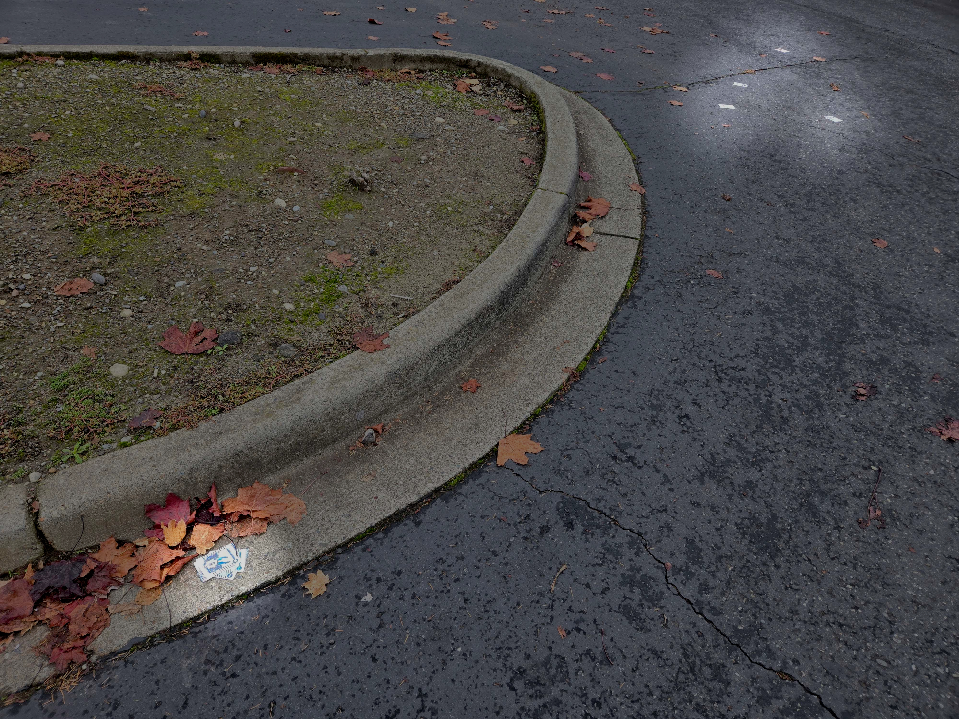 scattered baseball cards in a curb by a parking lot